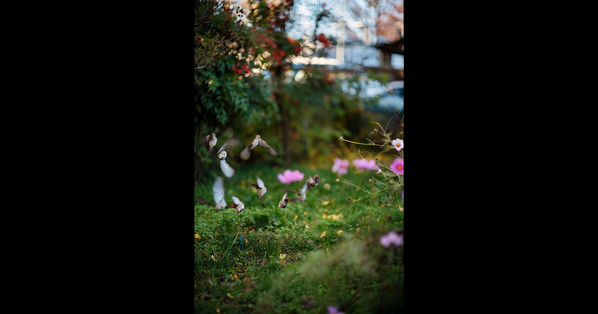 Terri Weifenbach "Untitled"