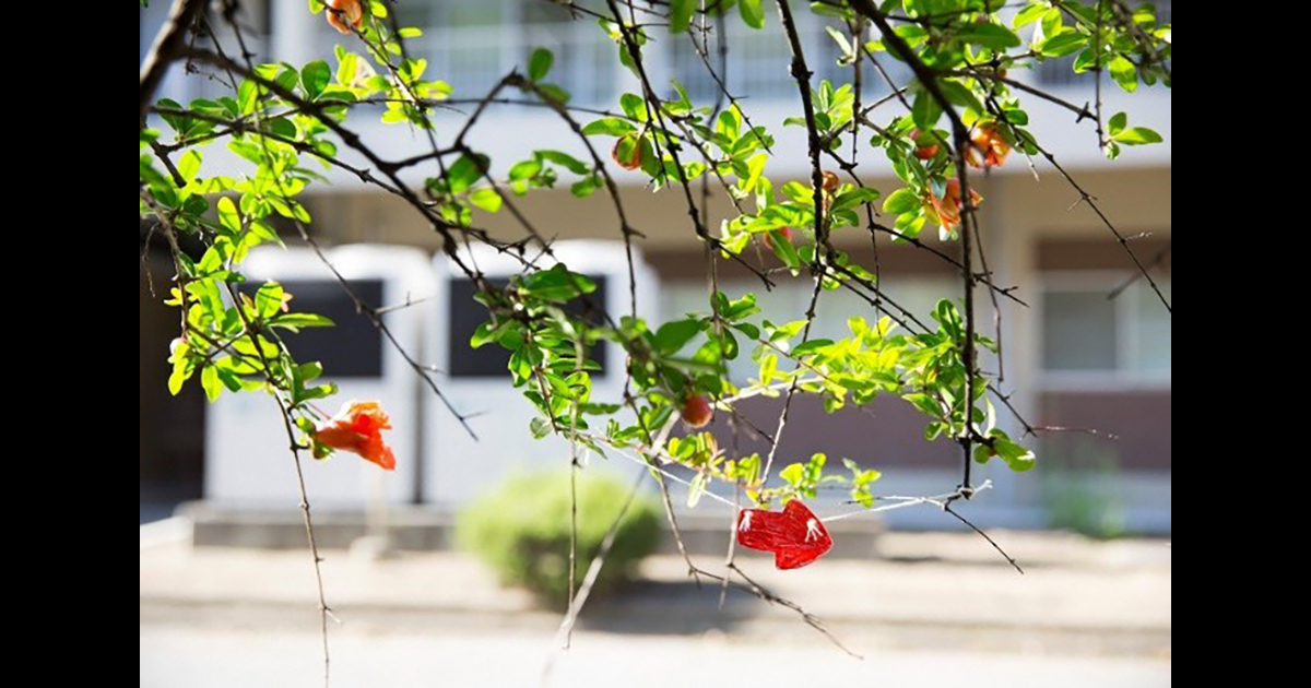 《←（やじるし》さいたまトリエンナーレ2016／Photo:KAWASE Kazue