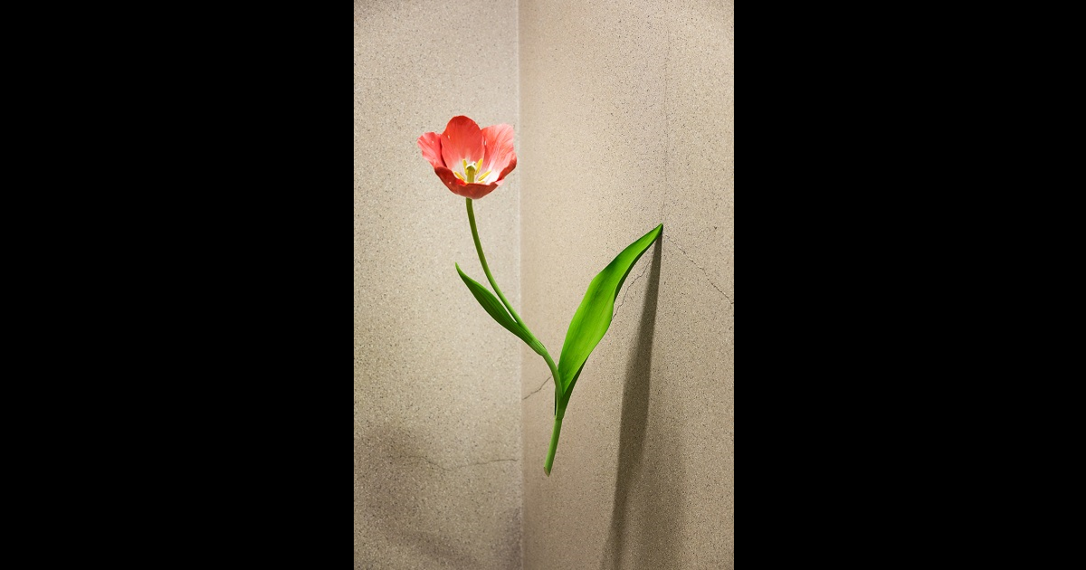 飯田将茂　double