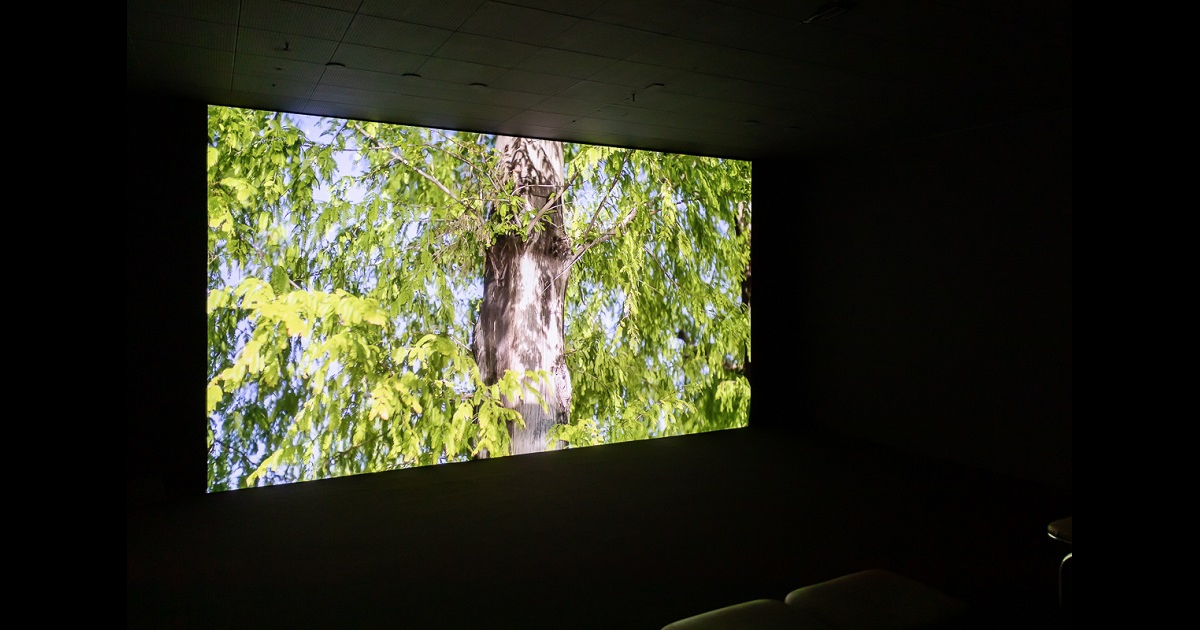 フランク・ブラジガンド