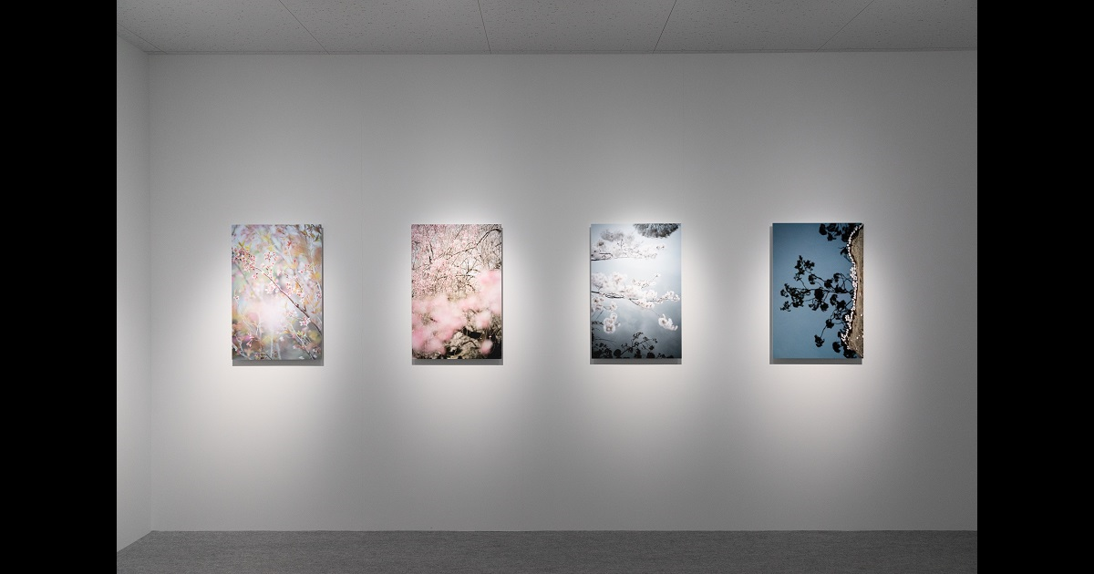 テリ・ワイフェンバック